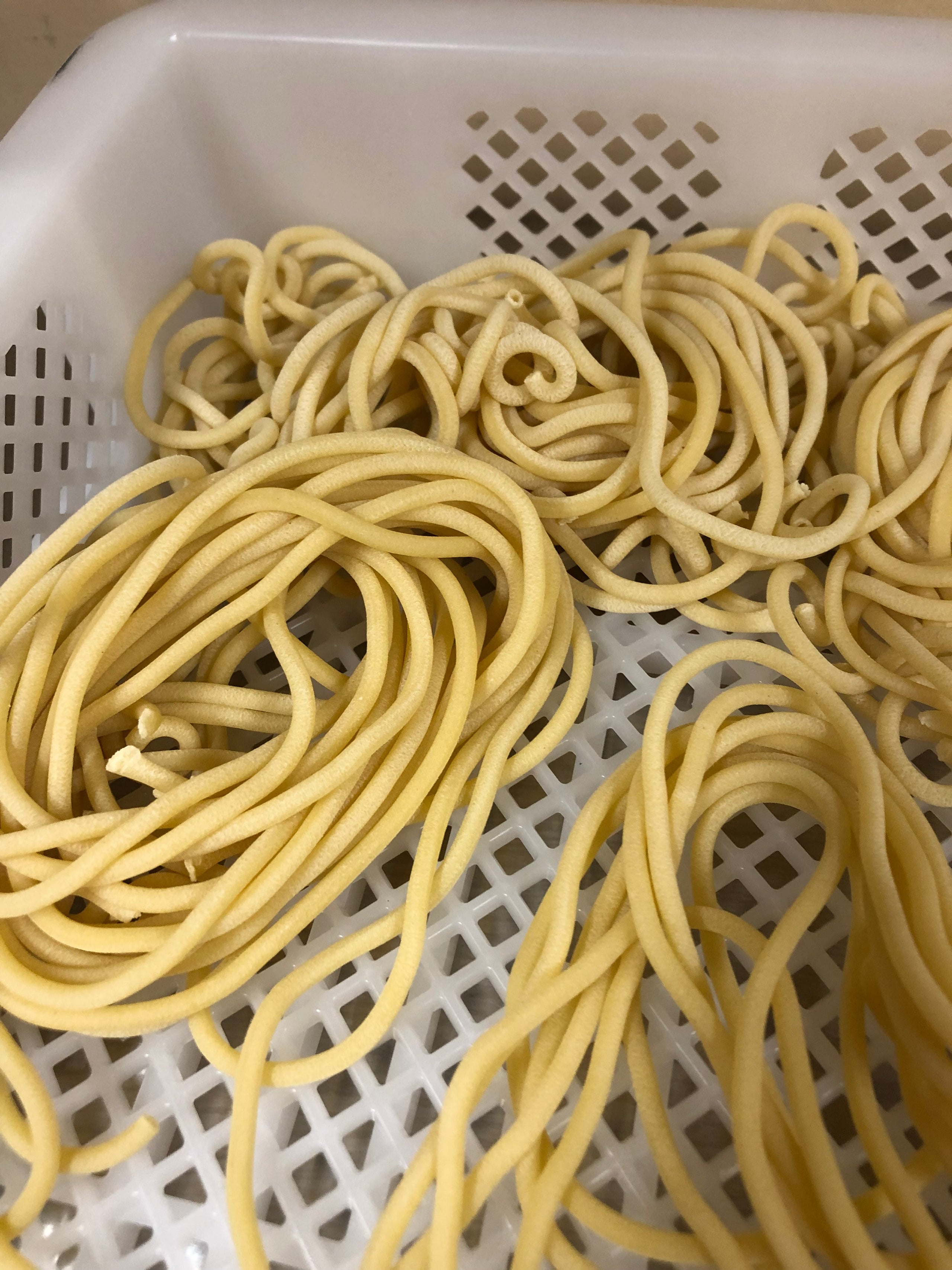 Bucatini Pasta Fresca di Auburn